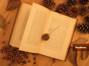 がっちりマンデー|「スゴい社長のスキマ時間に学ぼう」～新年会スペシャル第3弾～